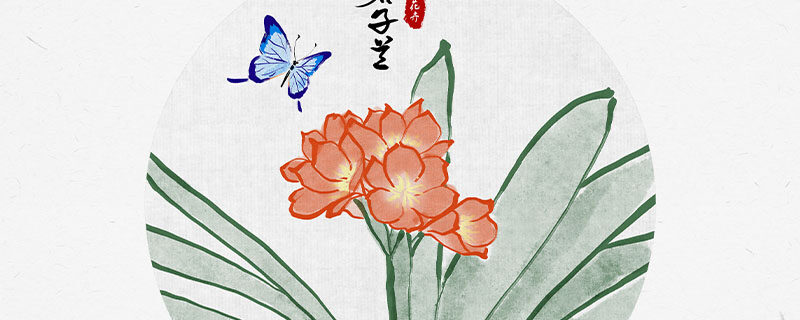 君子兰可以浇啤酒吗 君子兰可以浇啤酒吗