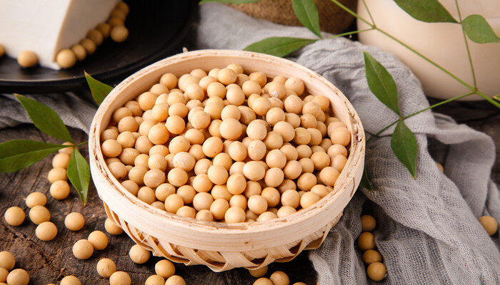 黄豆制作肥料的正确方法 黄豆制作肥料的正确方法