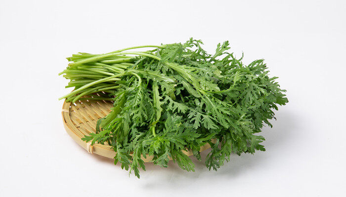 茼蒿菜怎么种植 茼蒿菜怎么种植