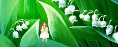铃兰花有毒吗