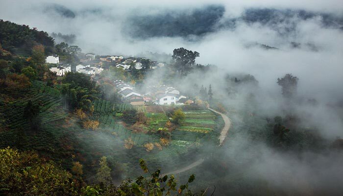 乡村振兴背景