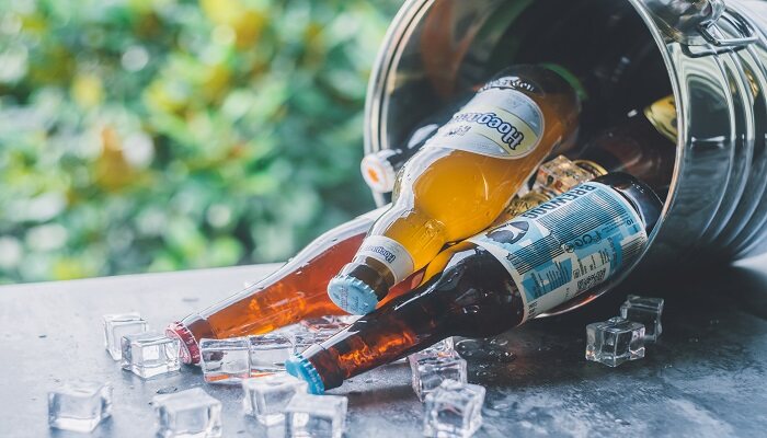 绿萝用啤酒浇花的正确方法