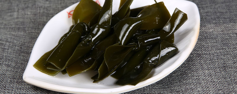 藻类植物有根吗 藻类植物有根吗