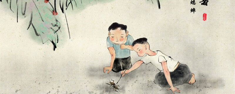 蟋蟀的习性