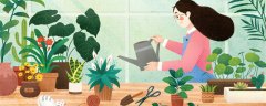植物的生命系统结构层次