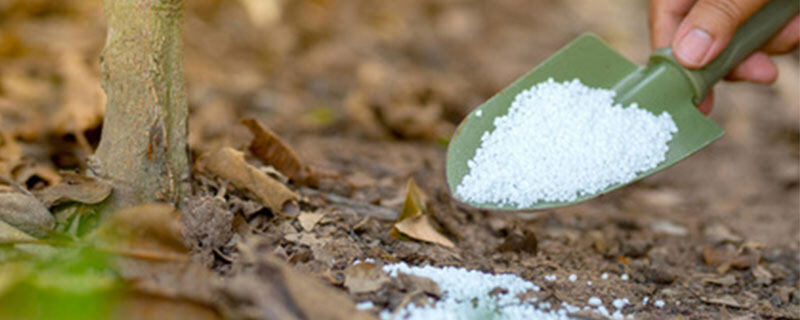 药肥为什么没有肥料含量 药肥为什么没有肥料含量