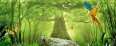 詹森红狐狸信鸽特点