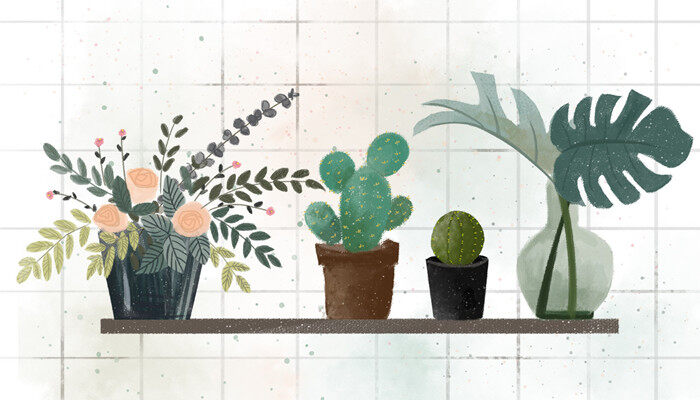 有什么植物可以传播种子的方法 有什么植物可以传播种子的方法
