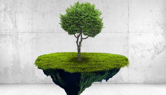 陆地上存在发光的植物吗 陆地上存在发光的植物吗