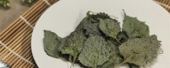 紫苏怎么吃