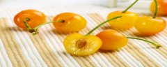 辉煌1-5大樱桃品种介绍