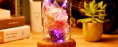 永生花花语