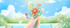 花卉属于什么垃圾