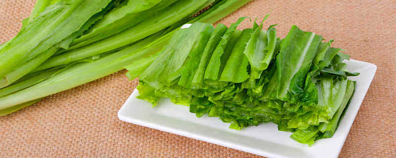 油麦菜耐寒最低多少度 油麦菜耐寒最低多少度