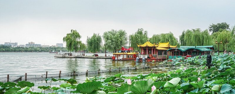 水绵有叶绿体吗 水绵有叶绿体吗