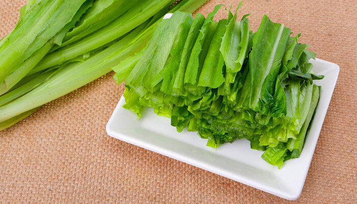 油麦菜怎么种植方法