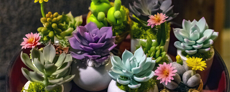 碧光环图片 碧光环图片
