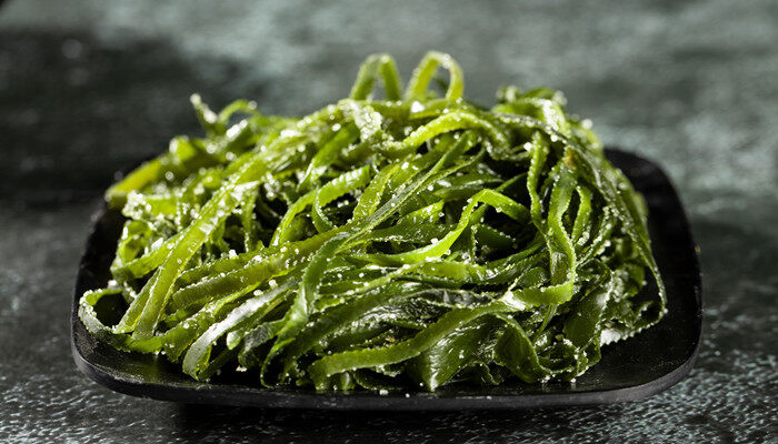 什么是藻类植物 什么是藻类植物