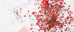 干花和永生花区别
