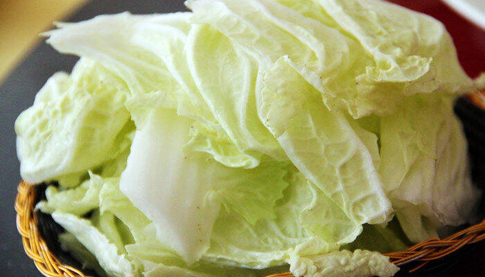 白菜多远一颗最合适 白菜多远一颗最合适
