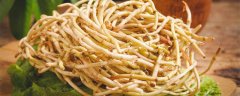 鱼腥草是什么东西