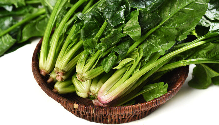 菠菜十一月下旬还能种吗 菠菜十一月下旬还能种吗