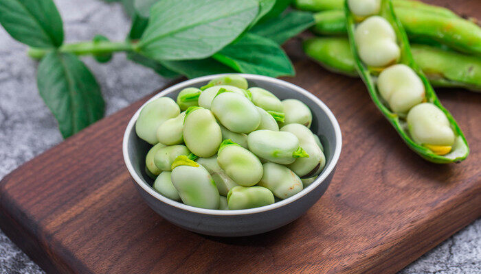 茴香豆是什么豆 茴香豆是什么豆