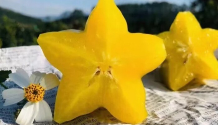 蜜丝甜杨桃 蜜丝甜杨桃