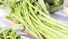 柳叶空心菜