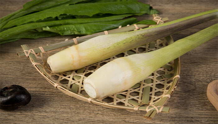 野茭白 野茭白