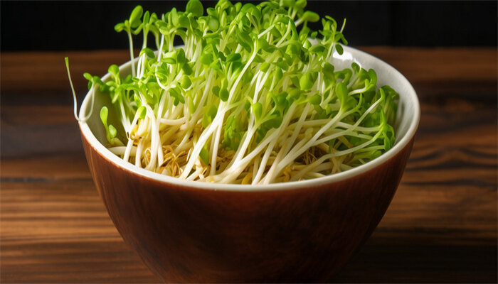 绿豆芽 绿豆芽