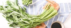 空心菜种植方法