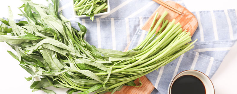 空心菜种植方法 空心菜种植方法