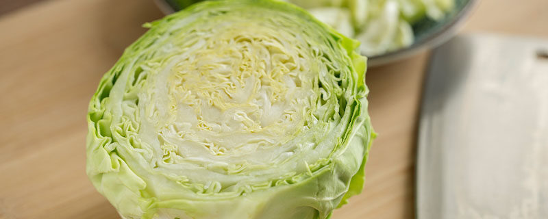 越冬包菜几月份育苗 越冬包菜几月份育苗