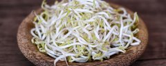 绿豆芽菜怎么种