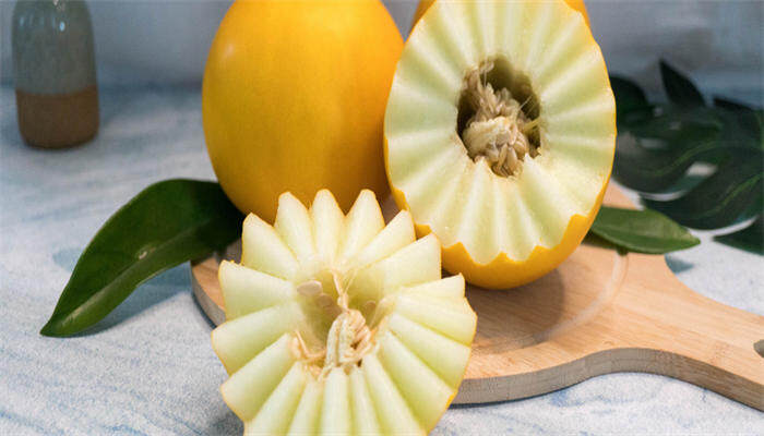 黄河蜜瓜