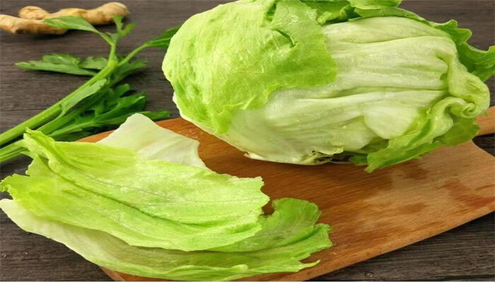 球生菜 球生菜