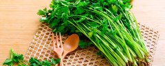 香菜种子怎么种植方法