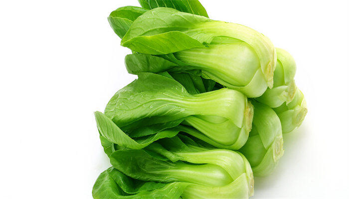 刚出来的小白菜怎么治虫 刚出来的小白菜怎么治虫