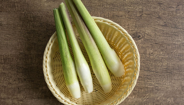 菰 菰