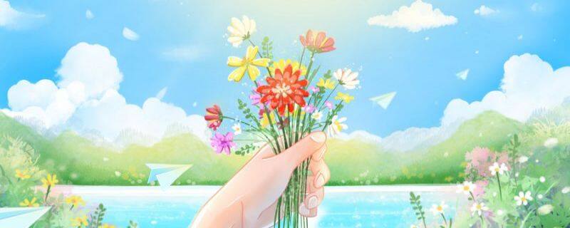 茼蒿花和格桑花的区别