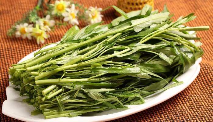 青叶空心菜 青叶空心菜