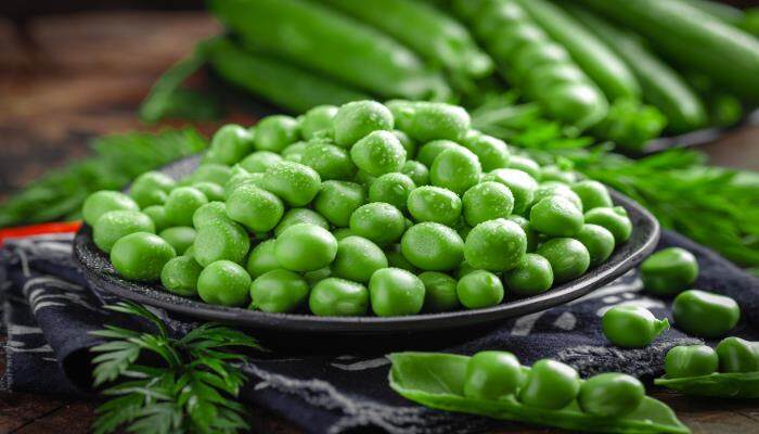 豌豆芽苗菜怎么种 豌豆芽苗菜怎么种