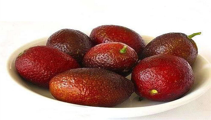 澳血柠檬 澳血柠檬