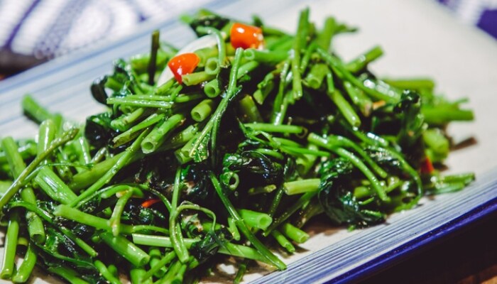 青梗子蕹菜 青梗子蕹菜