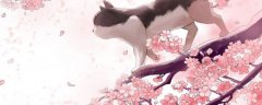 10块钱的天竺葵