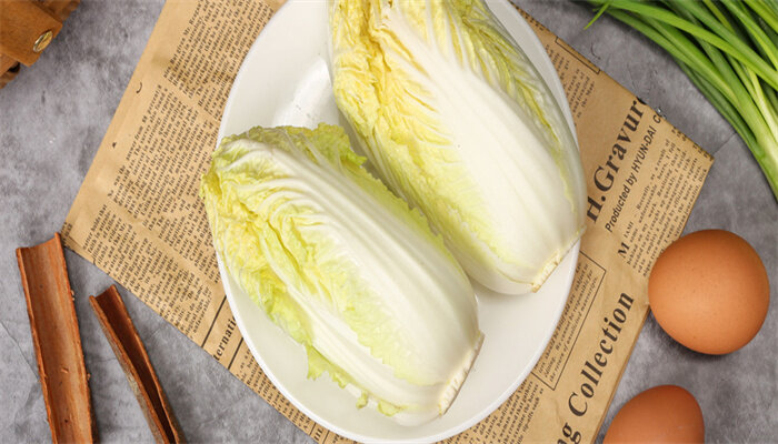 小巧娃娃菜 小巧娃娃菜