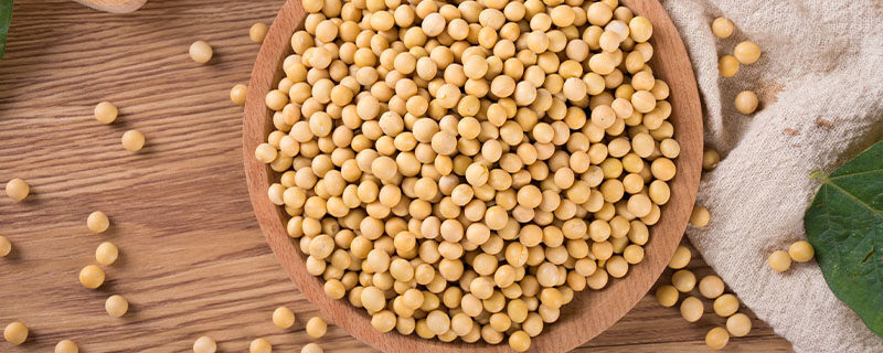 大豆结荚期用什么叶面肥 大豆结荚期用什么叶面肥