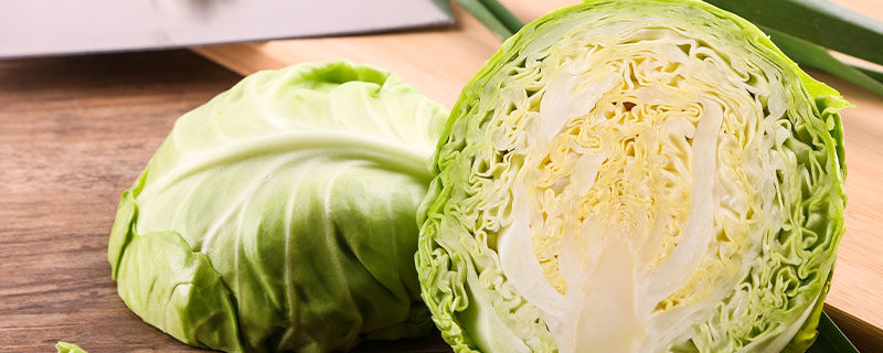 球生菜和卷心菜的区别 球生菜和卷心菜的区别