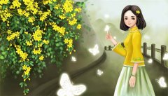 迎春花